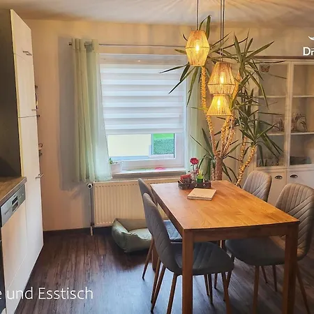 Drachennest - Tierfreundliche *