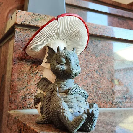 Drachennest - Tierfreundliche Appartement