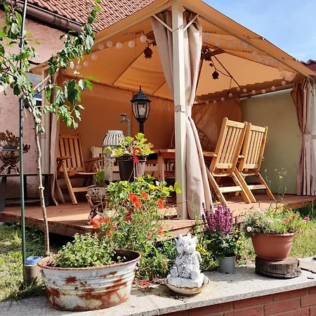 Drachennest - Tierfreundliche Appartement *