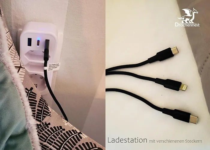 Drachennest - Tierfreundliche Schwenda