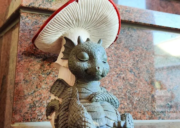 Drachennest - Tierfreundliche Lägenhet