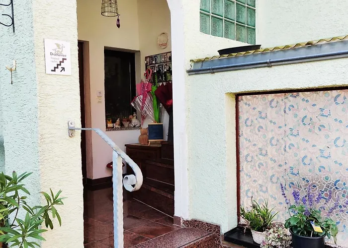 Drachennest - Tierfreundliche Schwenda